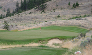 Sagebrush web